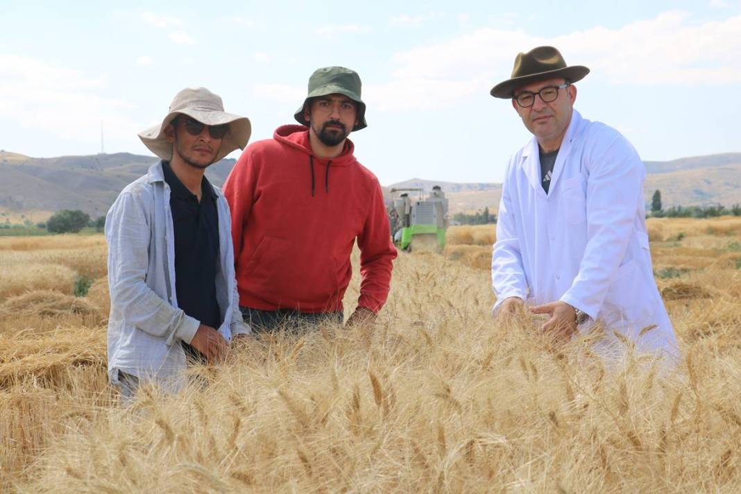 Dünyanın gözü Türkiye'deki bu tarlada! Adım adım yaklaşan felakete çözüm olabilir 11